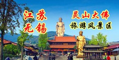 白虎喷浆喷水江苏无锡灵山大佛旅游风景区